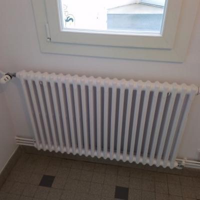 Radiateur fonte